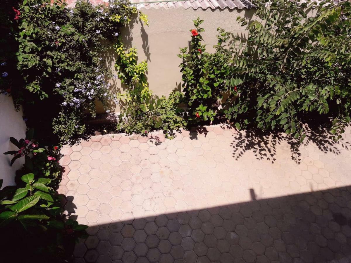 Oaxaquita La Bella Ξενοδοχείο Oaxaca Εξωτερικό φωτογραφία